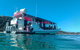 Best Of Moreton Bay Cruise - thumb 0
