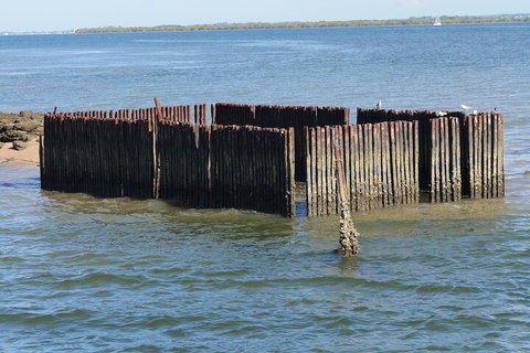 Best Of Moreton Bay Cruise - Australian Destinations 1