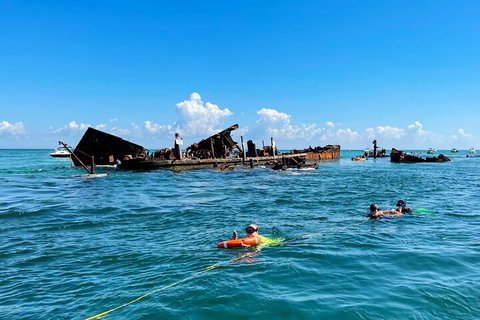 Best Of Moreton Bay Cruise - Australian Destinations 5
