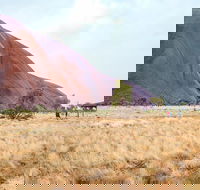 Uluru Sunrise and Guided Base Walk - Australian Destinations