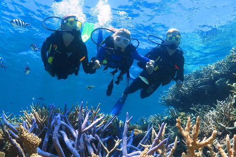 Quicksilver Outer Great Barrier Reef Snorkel Cruise From Palm Cove - Australian Destinations 3