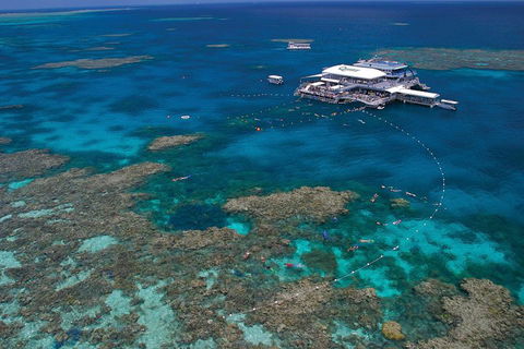 Quicksilver Outer Great Barrier Reef Snorkel Cruise From Port Douglas - Australian Destinations 3