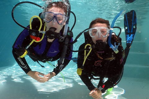 Quicksilver Dive 4 Day PADI Learn To Dive Course - Australian Destinations 2