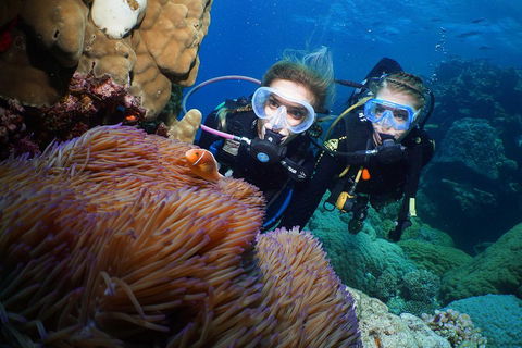 Quicksilver Dive 4 Day PADI Learn To Dive Course - Australian Destinations 4