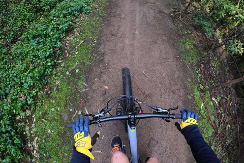 Explore Downhill Mountain In 3-Hour Bike Tour From Hobart - Australian Destinations 2