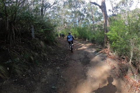 Explore Downhill Mountain In 3-Hour Bike Tour From Hobart - Australian Destinations 3