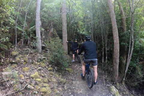Explore Downhill Mountain In 3-Hour Bike Tour From Hobart - Australian Destinations 4