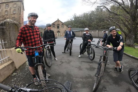 Explore Downhill Mountain In 3-Hour Bike Tour From Hobart - Australian Destinations 5