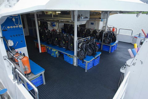 Silverswift Outer Great Barrier Reef Dive And Snorkel Cruise From Cairns - Australian Destinations 0