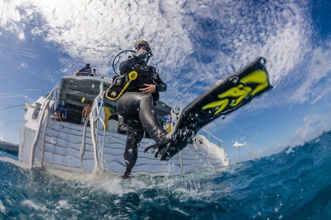 Silverswift Outer Great Barrier Reef Dive And Snorkel Cruise From Cairns - Australian Destinations 1