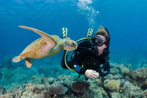 Silverswift Outer Great Barrier Reef Dive And Snorkel Cruise From Cairns - Australian Destinations 2
