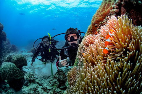Full Day Reef Cruise Including 10 Minute Heli Scenic Flight: Get High Package - Australian Destinations 5