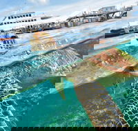 Scenic Helicopter Flight to Moore Reef and Return Snorkeling Cruise from Cairns - Australian Destinations