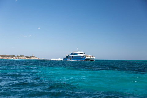 Fremantle To Rottnest Island Roundtrip Ferry Ticket - Australian Destinations 5