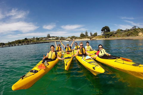 Mornington Peninsula Kayak Coastline Tour Of Dolphin Sanctuary - Australian Destinations 2