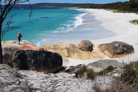 2-Day Tas East Coast Escape Tour Including Bay Of Fires, Wineglass Bay & Devils - Australian Destinations 4