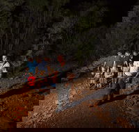 Alice Springs Desert Park Nocturnal Tour - Australian Destinations