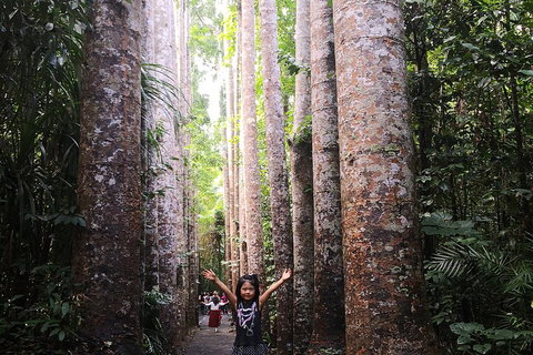 Private Tour To Paronella Park, Historic Village Herberton And Wild Life Wallaby - Australian Destinations 2