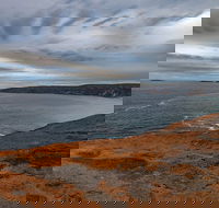 Kangaroo Island Luxury Small Group 'Flinders Chase Focus' Full Day Tour - Australian Destinations