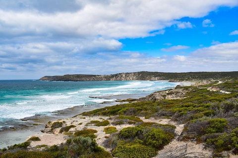 Kangaroo Island Luxury Small Group 'East End Explorer' Full Day Tour - Australian Destinations 0