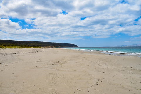 Kangaroo Island Luxury Small Group 'East End Explorer' Full Day Tour - Australian Destinations 3