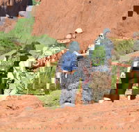 Afternoon Kata Tjuta Small Group Tour - Australian Destinations