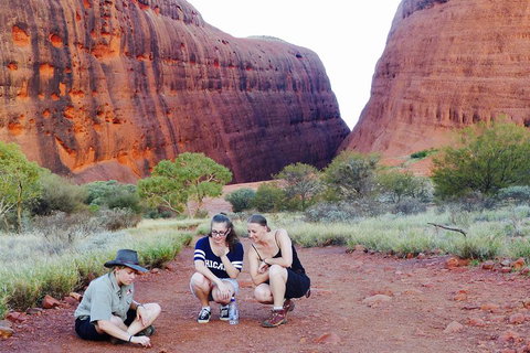 Afternoon Kata Tjuta Small Group Tour - Australian Destinations 2
