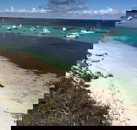 Experience Rottnest with Ferry  Bike Hire from Perth or Fremantle - Australian Destinations