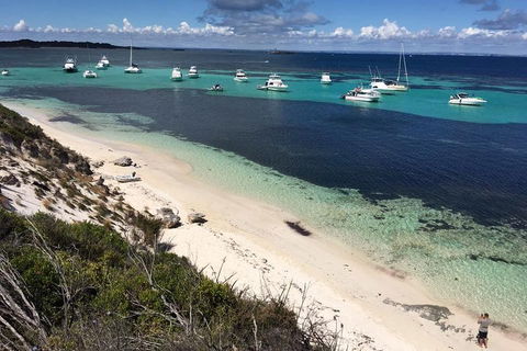 Experience Rottnest With Ferry & Bike Hire From Perth Or Fremantle - Australian Destinations 0
