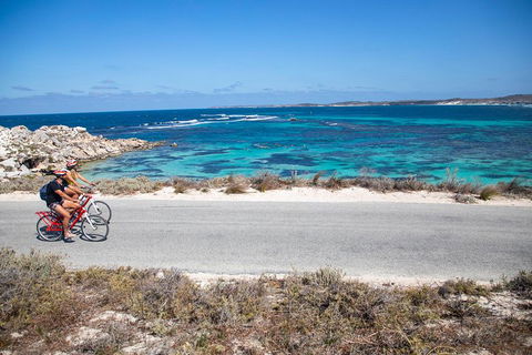 Experience Rottnest With Ferry & Bike Hire From Perth Or Fremantle - Australian Destinations 2
