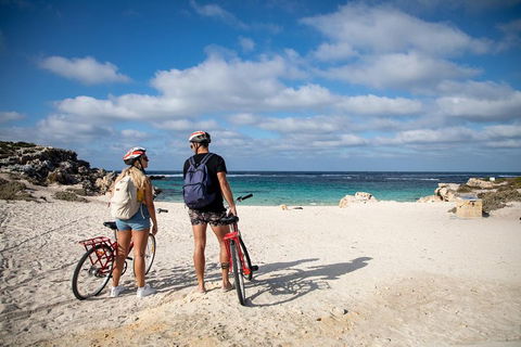 Experience Rottnest With Ferry & Bike Hire From Perth Or Fremantle - Australian Destinations 5