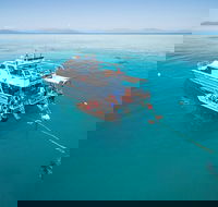 Ocean Freedom Great Barrier Reef Personal Luxury Snorkel  Dive Cruise Cairns - Australian Destinations