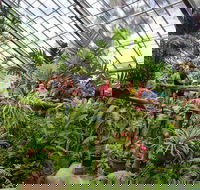 Australian Butterfly Sanctuary - Australian Destinations