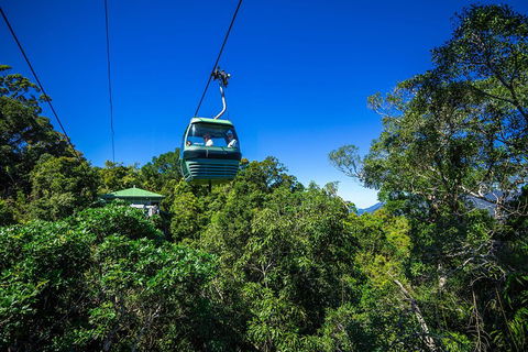 Classic Kuranda By Skyrail And Scenic Railway Including Rainforestation, Koala And Wildlife Park And Pamagirri Aboriginal Experi - Australian Destinations 0