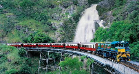 Classic Kuranda By Skyrail And Scenic Railway Including Rainforestation, Koala And Wildlife Park And Pamagirri Aboriginal Experi - Australian Destinations 1