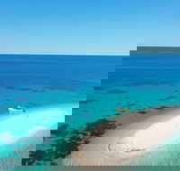 Ocean Safari Great Barrier Reef Experience in Cape Tribulation - Australian Destinations