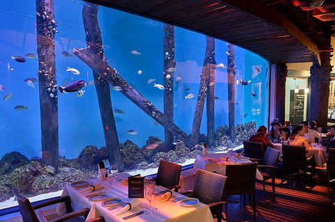 Cairns Aquarium And Small Group City Sightseeing Tour - Australian Destinations 4
