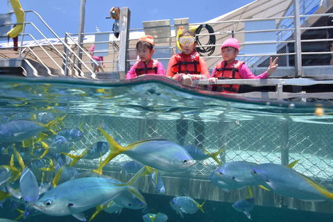 Outer Reef Pontoon Experience From Cairns - Australian Destinations 0