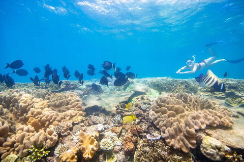 Outer Reef Pontoon Experience From Cairns - Australian Destinations 4