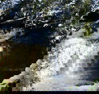 Cradle Mountain Day Tour from Launceston Including Lunch - Australian Destinations