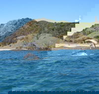Kayaking with Dolphins in Byron Bay Guided Tour - Australian Destinations