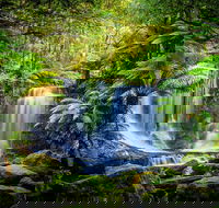 Day Tour in Mt. Field Mt. Wellington Bonorong Wildlife Sanctuary and Richmond - Australian Destinations