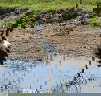 Darwin to Kakadu Day Trip by Air Including Yellow Water Cruise - Australian Destinations
