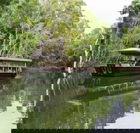 Hartley's Crocodile Adventures Breakfast with the Koalas - Australian Destinations