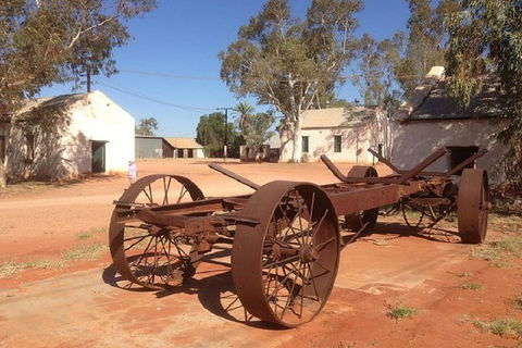 Palm Valley 4WD Day Tour - Australian Destinations 0