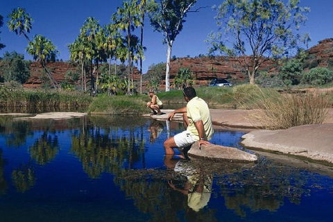 Palm Valley 4WD Day Tour - Australian Destinations 1