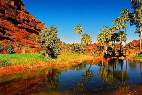 Palm Valley 4WD Day Tour - Australian Destinations 2