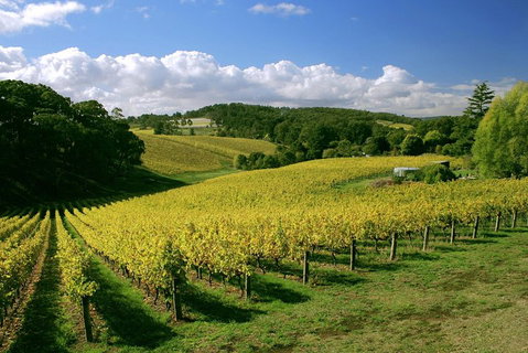 McLaren Vale And Glenelg Wine Tasting And Sightseeing (Half-day Afternoon) - Australian Destinations 4