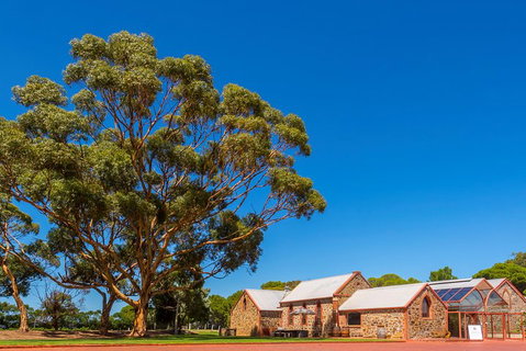 McLaren Vale And Glenelg Wine Tasting And Sightseeing (Half-day Afternoon) - Australian Destinations 5