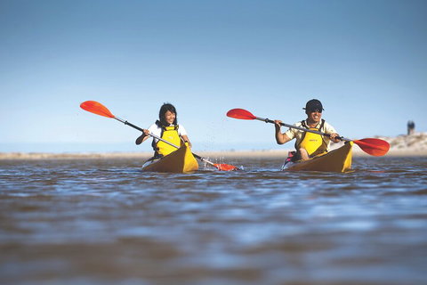 Kangaroo Island Self-Guided Kayaking On The Harriet River - Australian Destinations 2